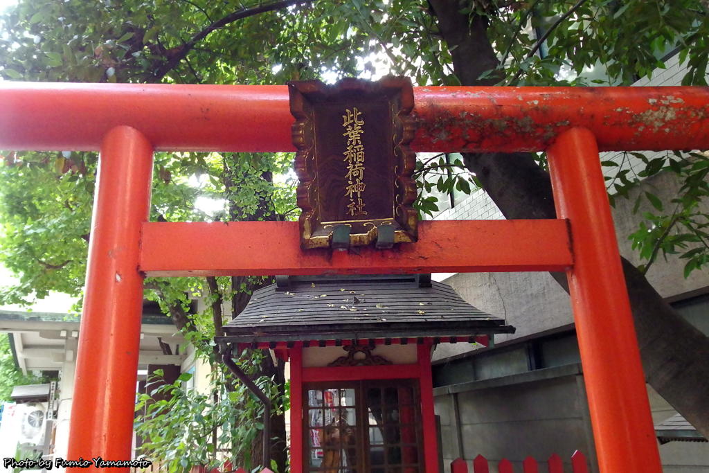 此葉稲荷(このはいなり)神社にて