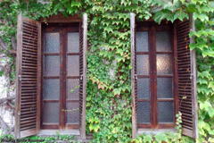 Antique Pizza House その1２