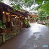 大原の坂道(再)