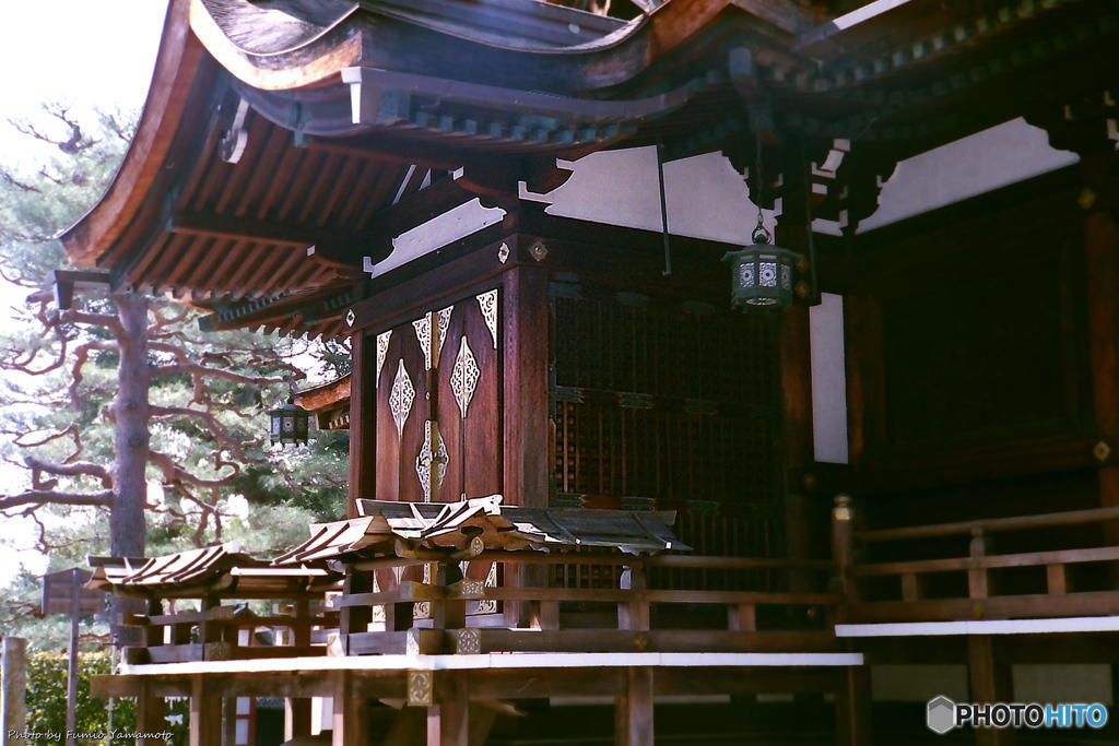 ご隠居(Nikon SP)の試写(大将軍八神社編)　その１