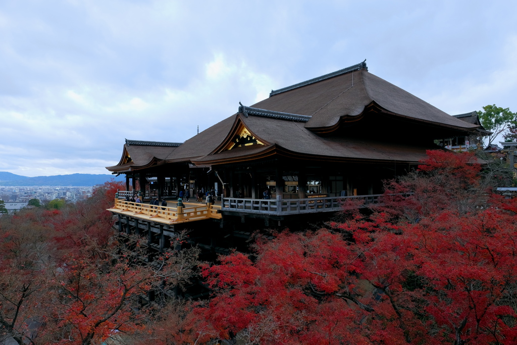 清水寺 2020 師走 その１