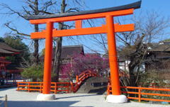 早春の下鴨神社　その３