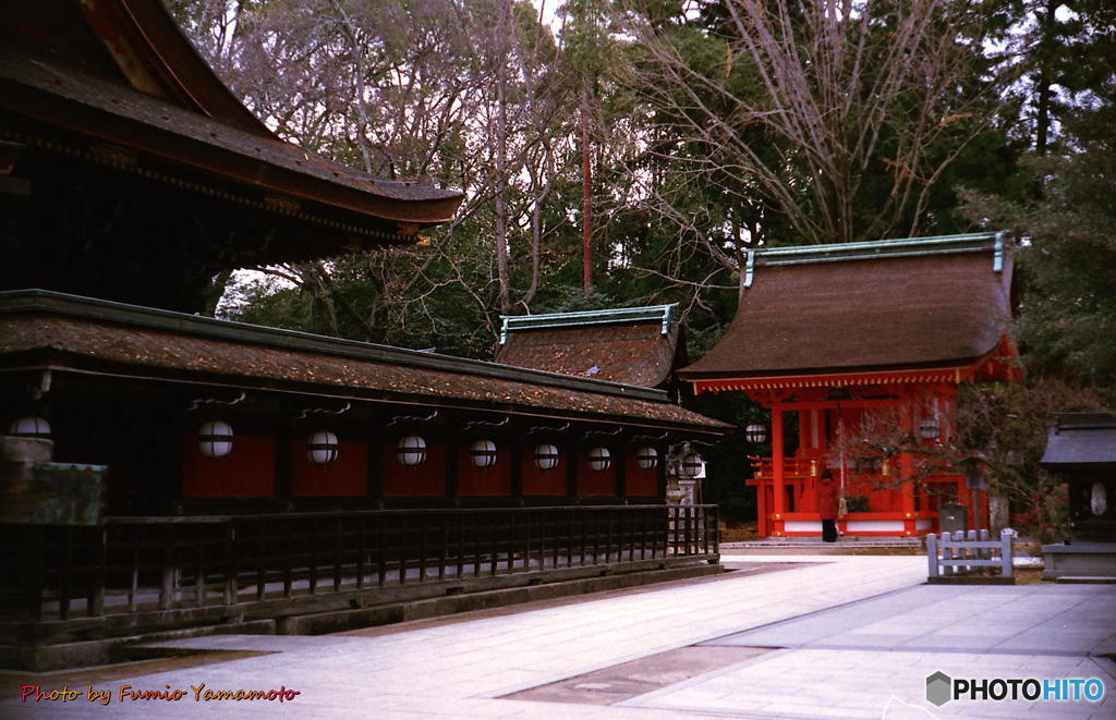 ご隠居(Nikon SP)の試写　その21