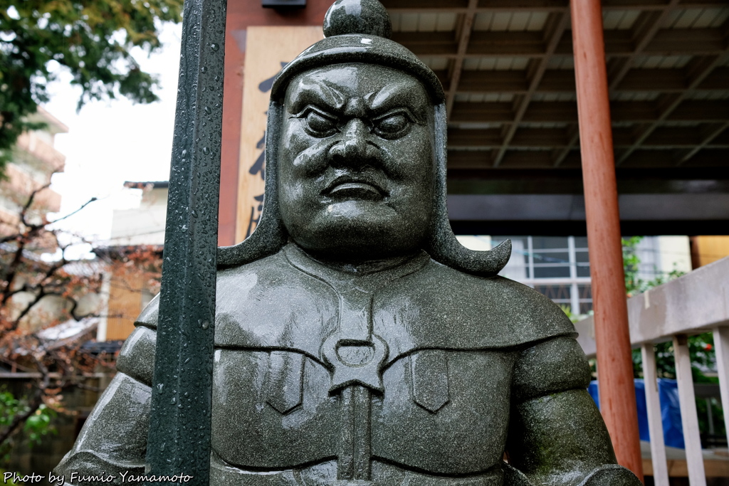 早春の大将軍八神社 2019 その３