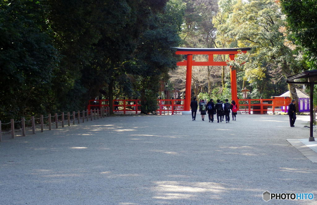 君たち、何をお願いしたんだい？