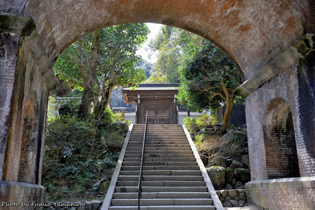 早春の水路閣 2019 その２