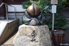 盛夏の晴明神社　その５