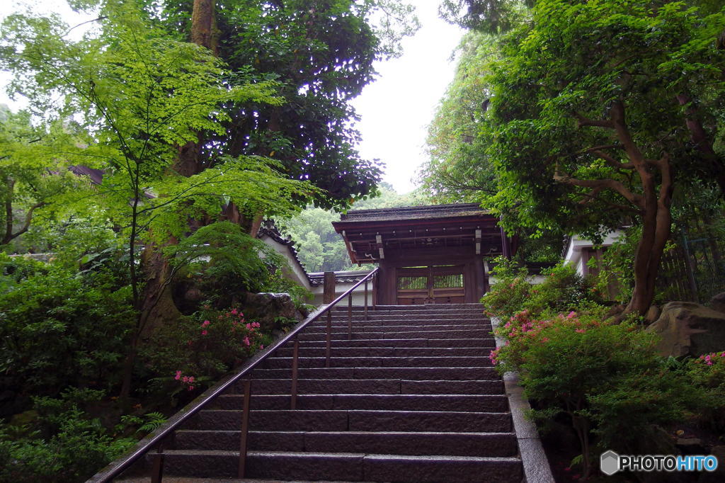 梅雨の南禅寺