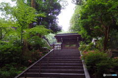 梅雨の南禅寺