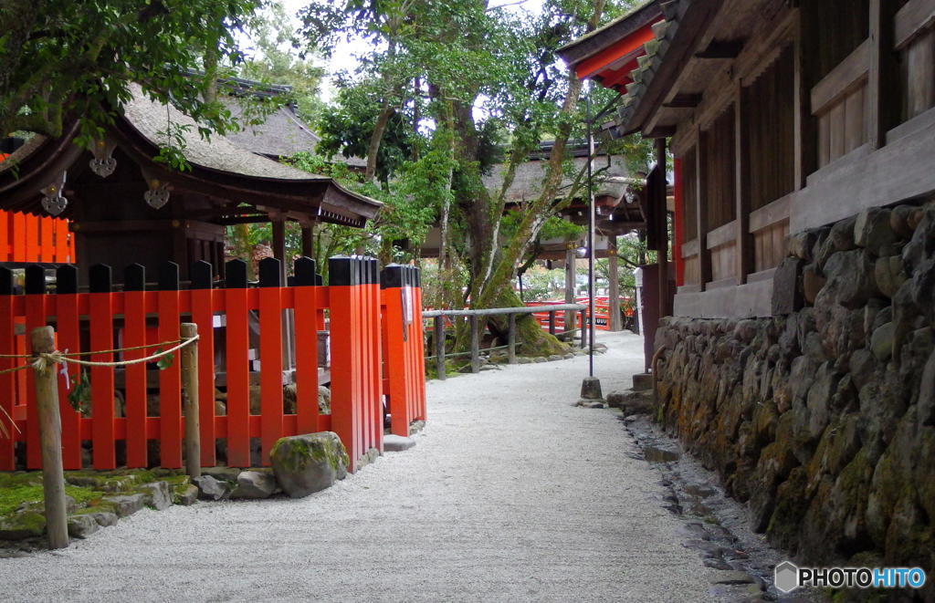 曇天の上賀茂神社　その４