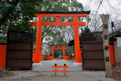 早春の河合神社 2019 その１