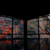 瑠璃光院　２０１８初冬　その１