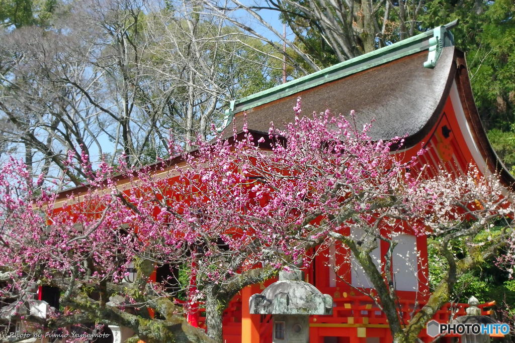 早春の北野天満宮　その１