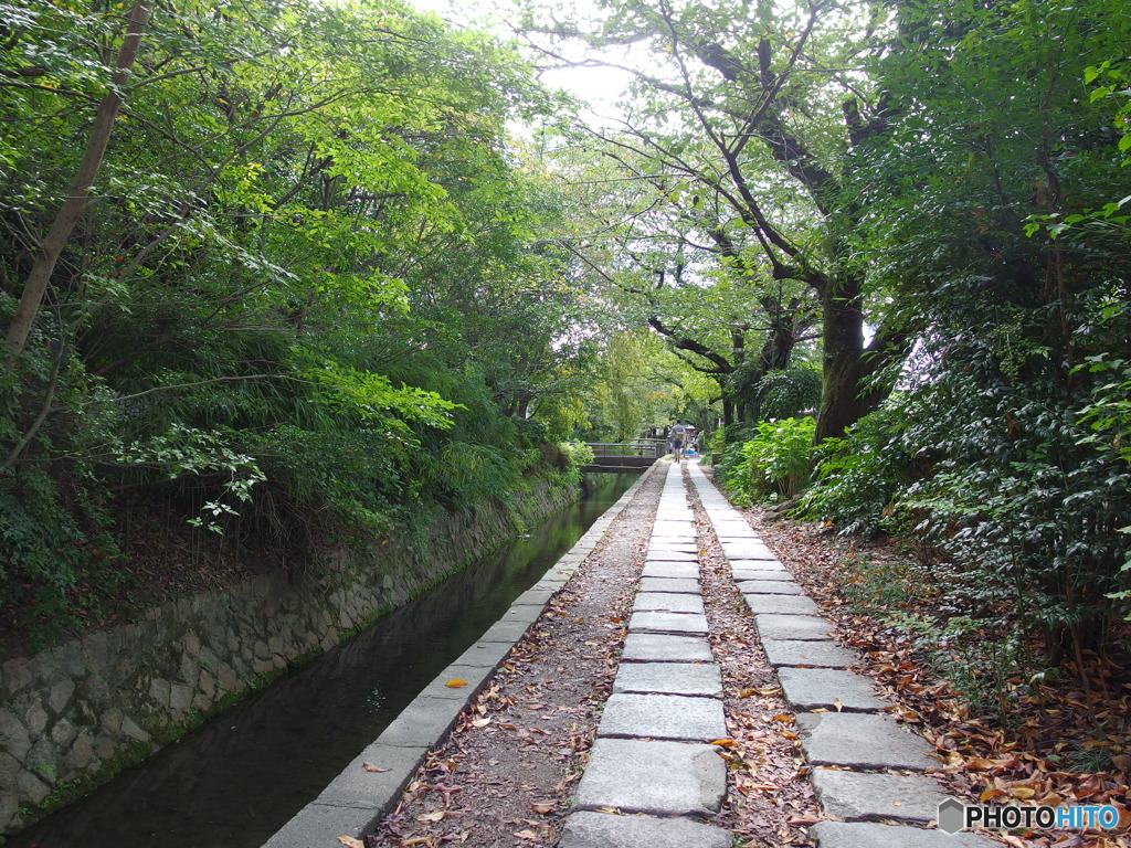 哲学の道　その２