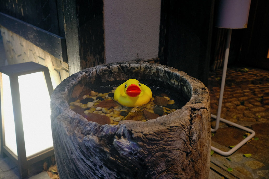 神楽坂　２０１９睦月　その４