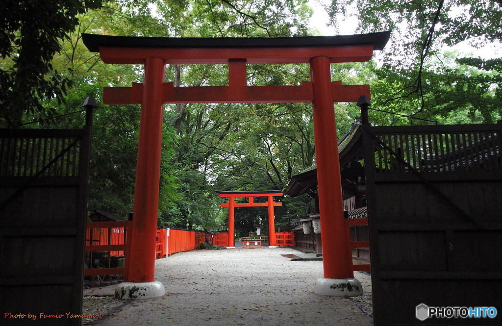 曇天の河合神社　その１