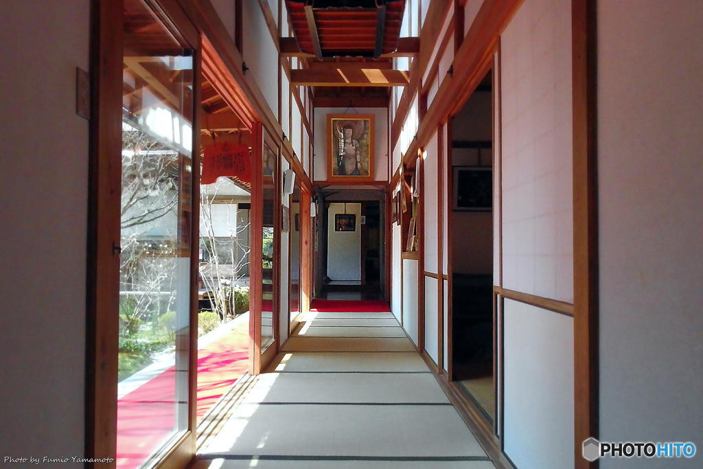 早春の宝泉院　その１