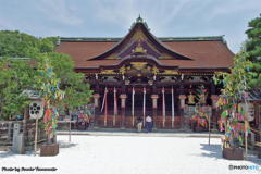 盛夏の北野天満宮　その２