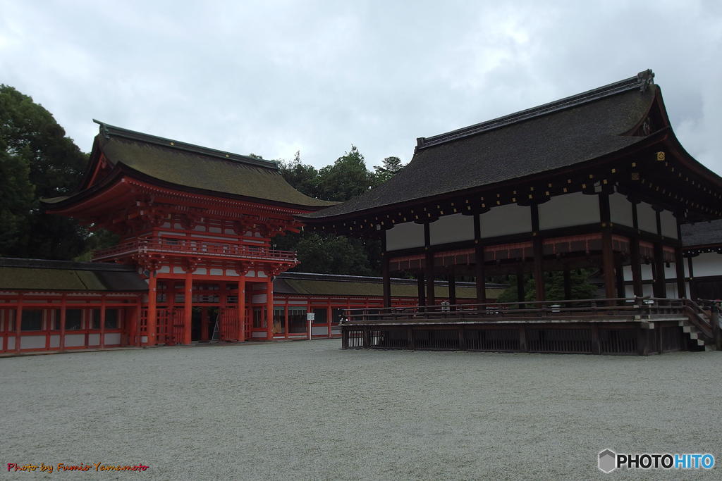 雨の下鴨神社にて　その２