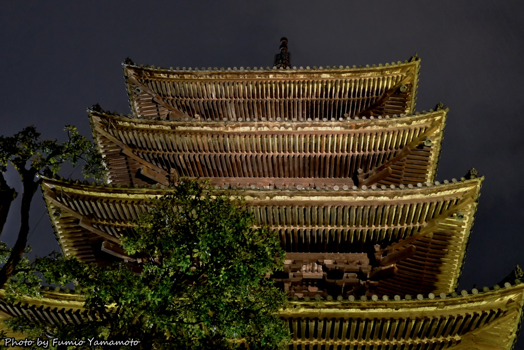 東山花灯路 2019 その８