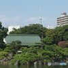 清澄庭園にて　その３