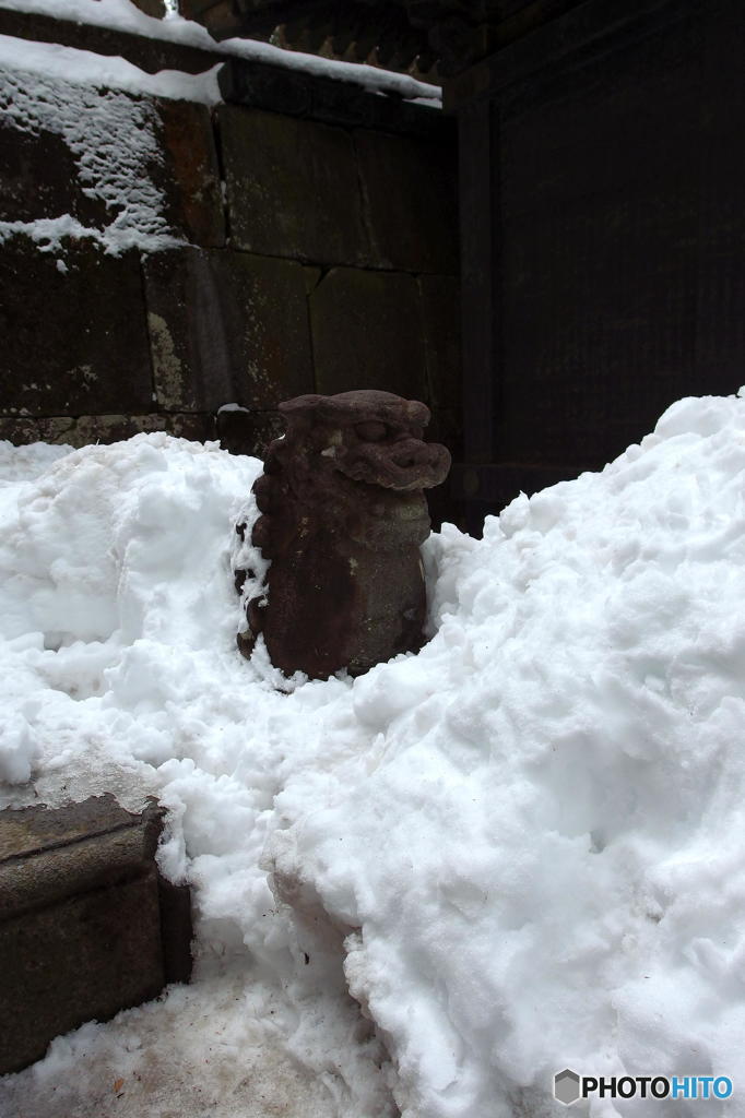 寒いのだっ！ その１