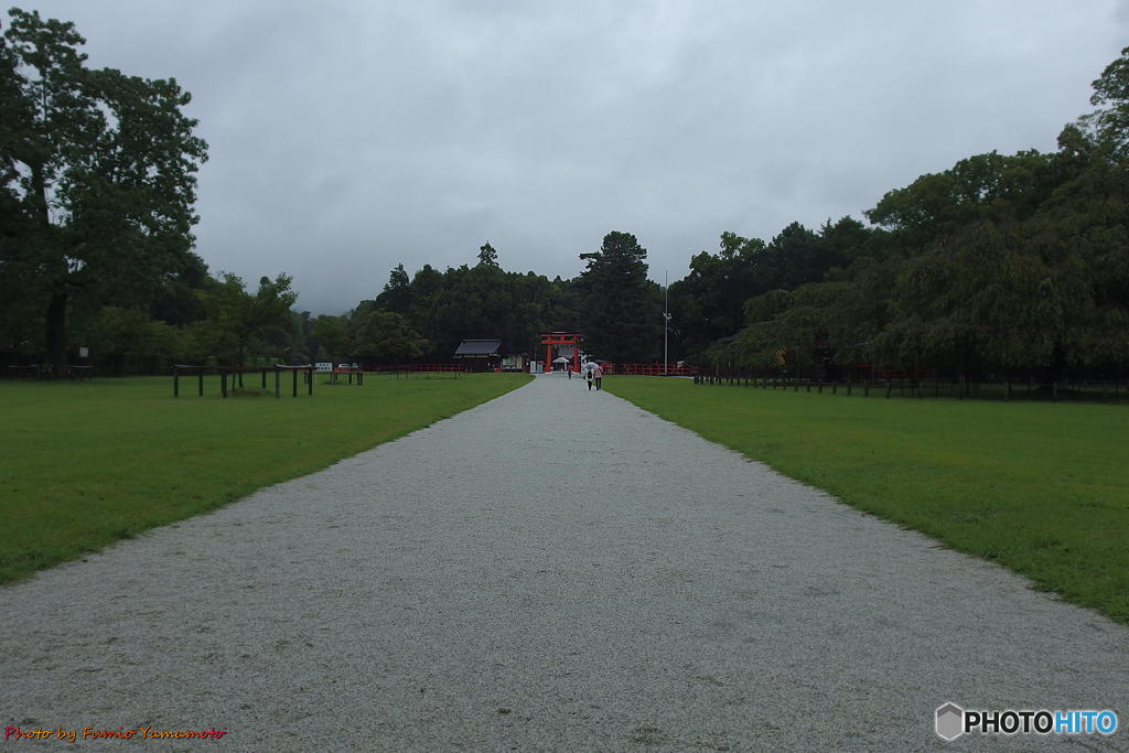 雨の上賀茂神社にて　その３