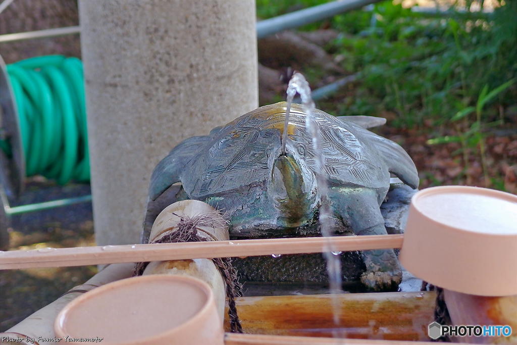 亀戸天神にて　その8