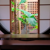建仁寺 2020 師走 その２