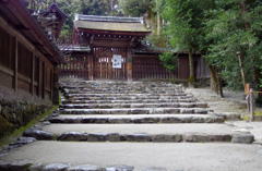 曇天の上賀茂神社　その８