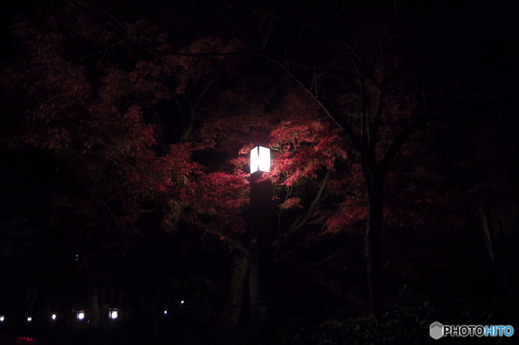 夜の祇園にて　その５