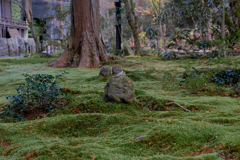 三千院　２０１８初冬　その１