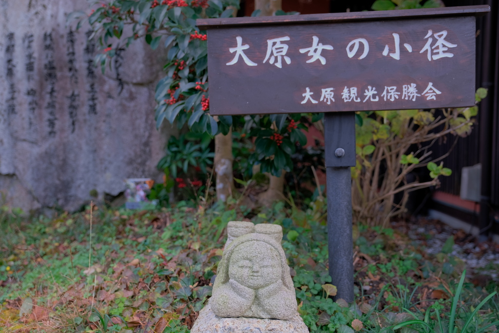 大原 2020 師走 その１