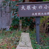 大原 2020 師走 その１