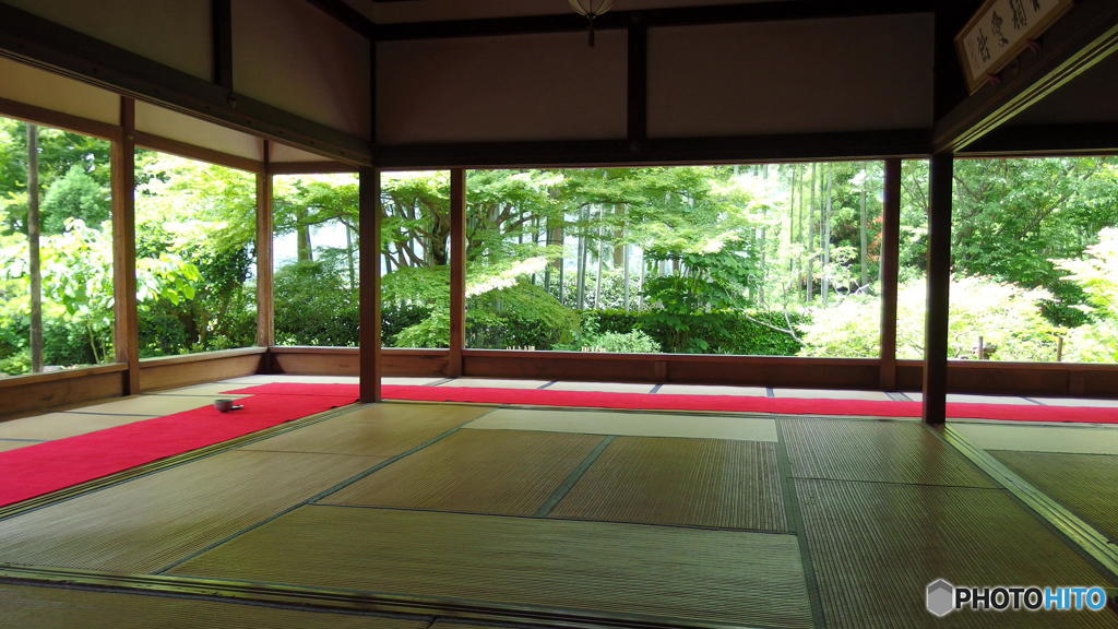 梅雨の晴れ間の宝泉院　その２