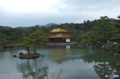 寒気が接近中・・・ 　その３