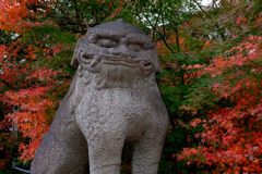 晴明神社　２０１８初冬　その３