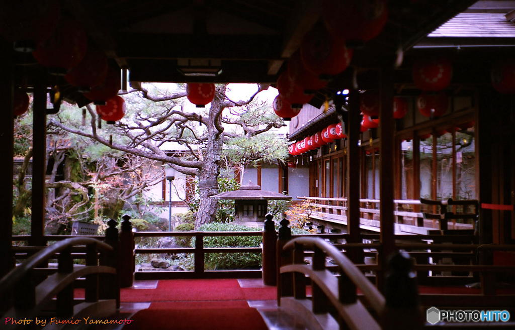 ご隠居(Nikon SP)の試写　その23