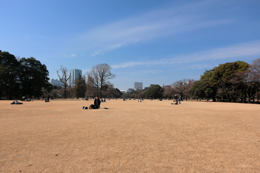 早春の新宿御苑　その６