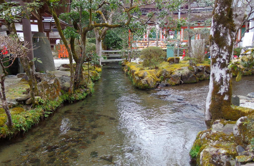 曇天の上賀茂神社　その７