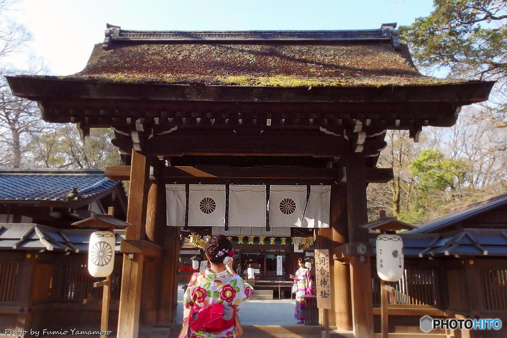 早春の河合神社　その１