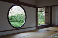 寒気が接近中・・・ 　その１