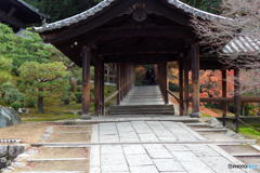 燃えつきかけた秋･･･　その５