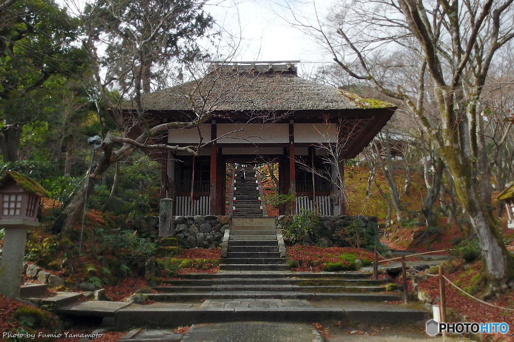 天気雨の常寂光寺　その３