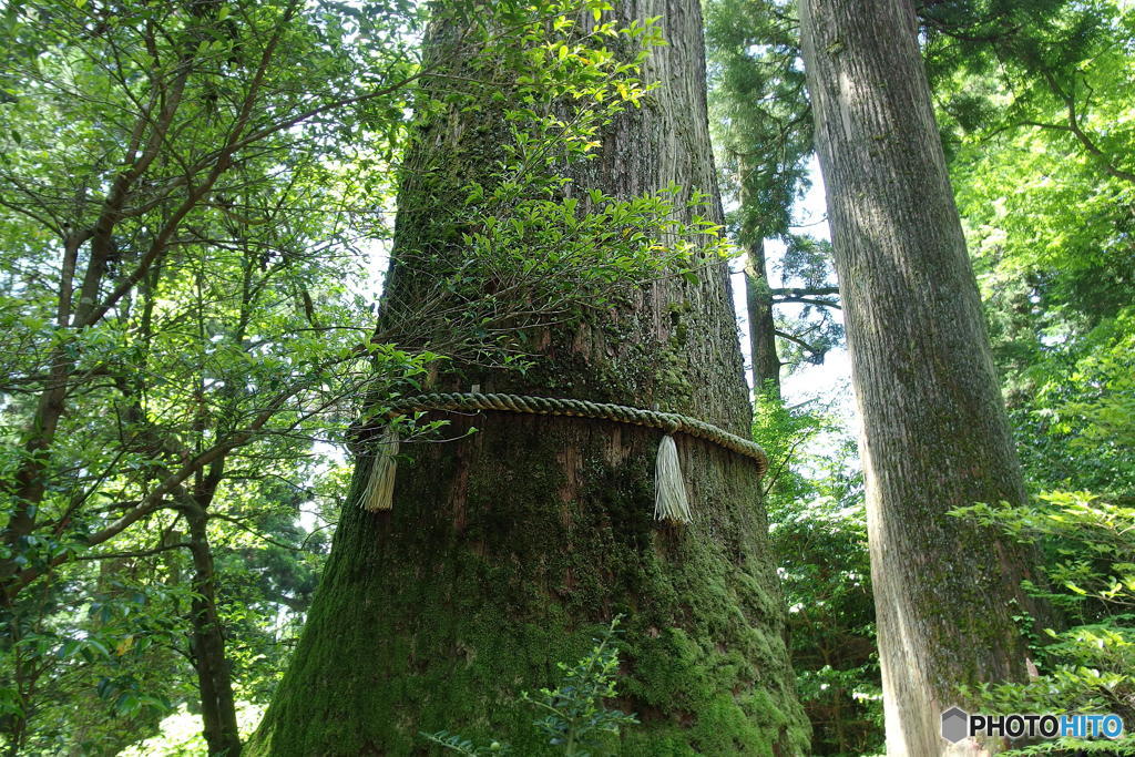 箱根神社にて　その７