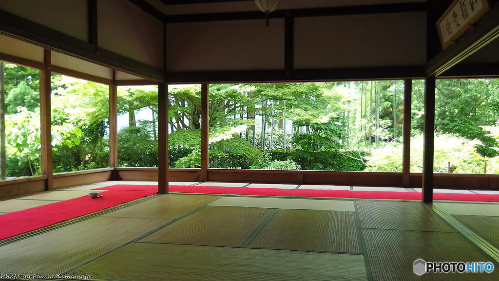 梅雨の晴れ間の宝泉院(再) その３