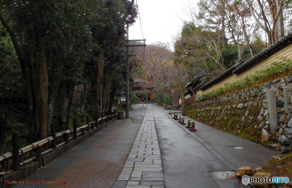師走の嵯峨野にて　その１(祇王寺)