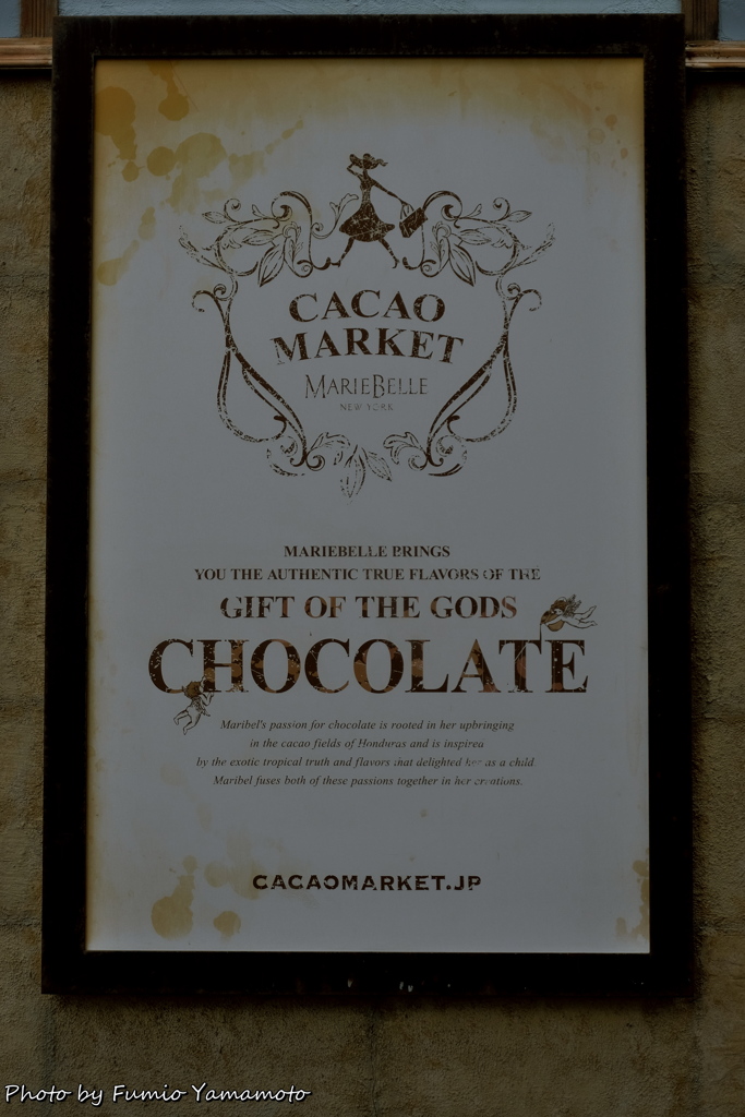 CACAO MARKET　その２