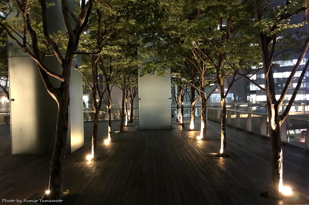 汐留の空中庭園