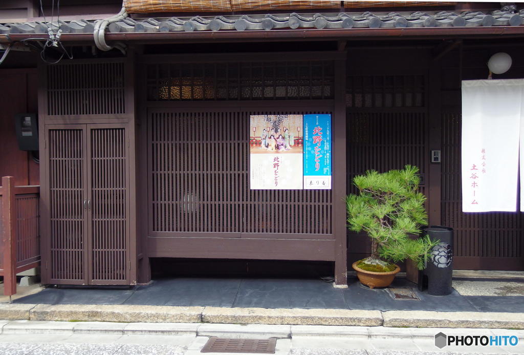早春の上七軒　その２